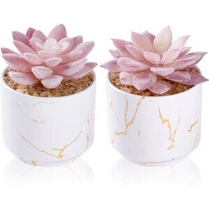 Artificial Plants and Succulents in 2 White Ceramic Pots,Small Fake Plants